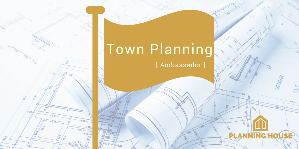 RTPI Town Planning Ambassador – Our visit to Kingsmeadow Community School