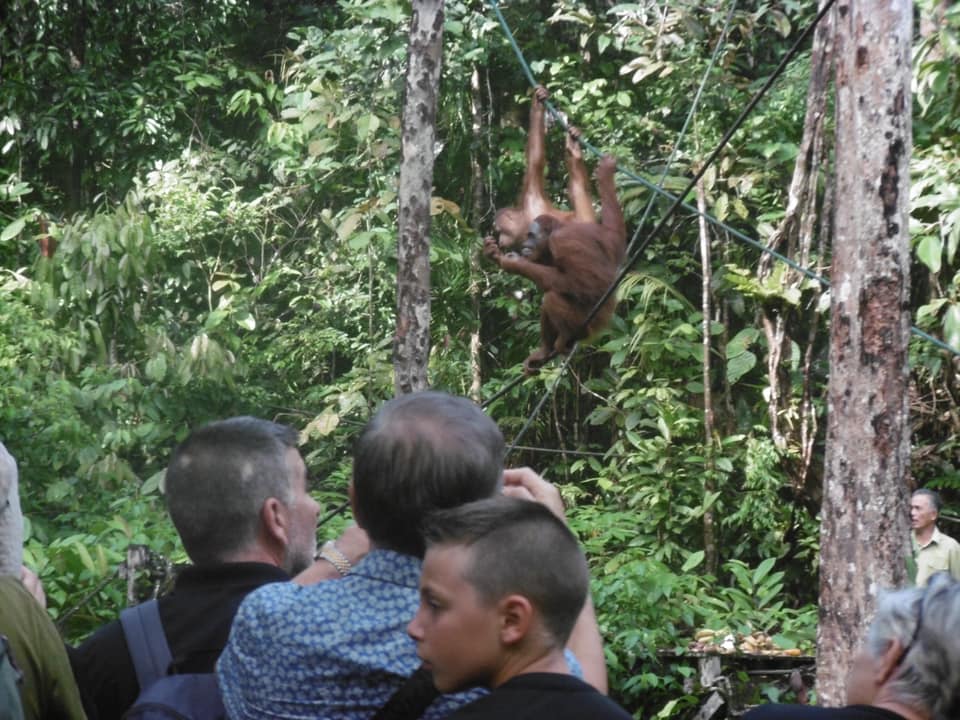 Sally's world challenge, sponsored by Planning House