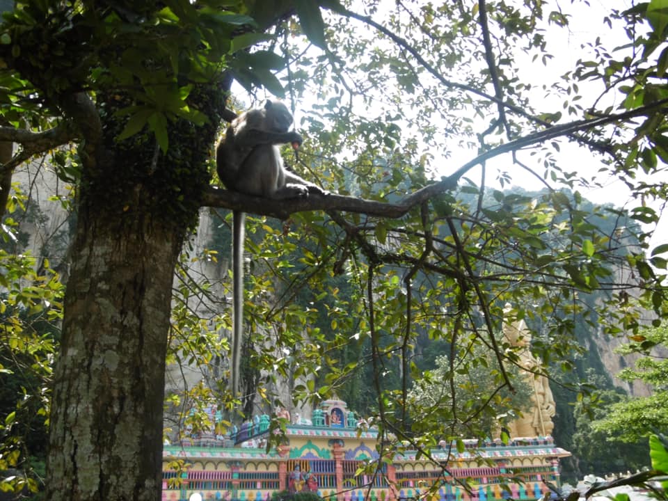 Sally's world challenge, sponsored by Planning House