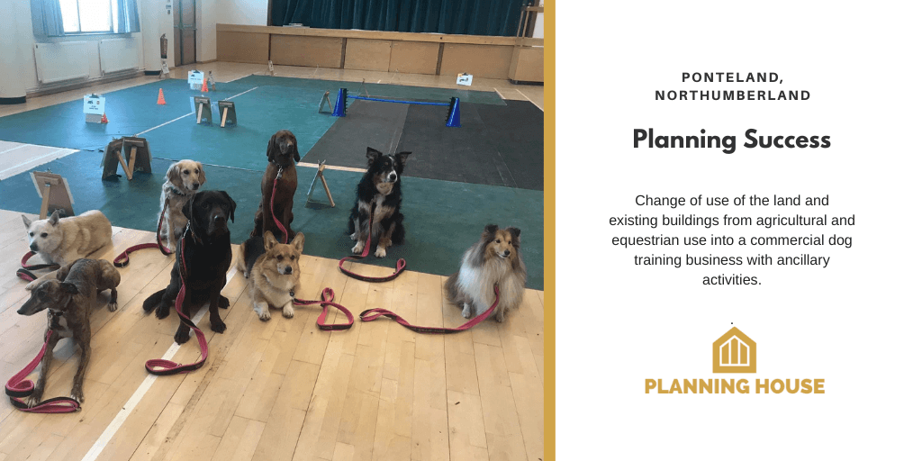 Planning Success – Green Belt Dog Training Use