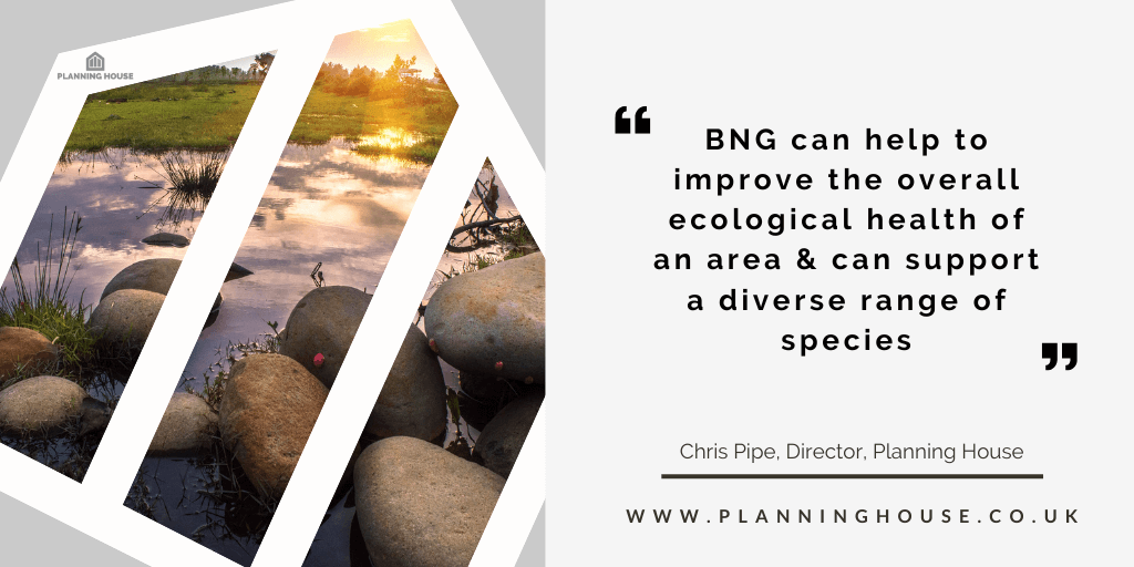 Biodiversity Net Gain: UK Government Introduces New Measures